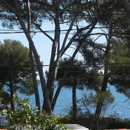 Villa Rez De En Front De Mer
