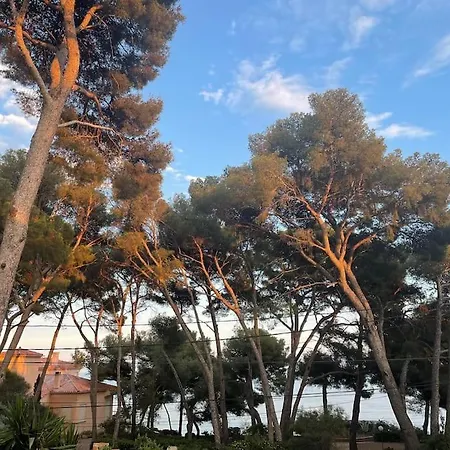 Rez De En Front De Mer * La Ciotat